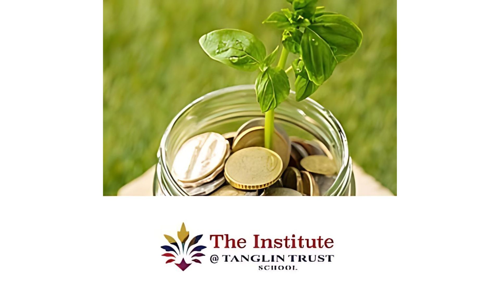 The Institute @Tanglin Trust School: Sustainable Finance and its Role in Driving a Sustainable Economy