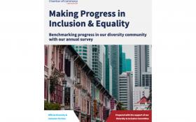 Making Progress in Inclusion & Equality