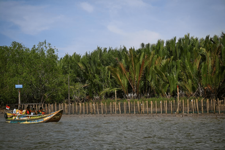 A tree adoption site in South Sumatra, Indonesia, where mangrove seedlings have been planted.  ST PHOTO: SHINTARO TAY