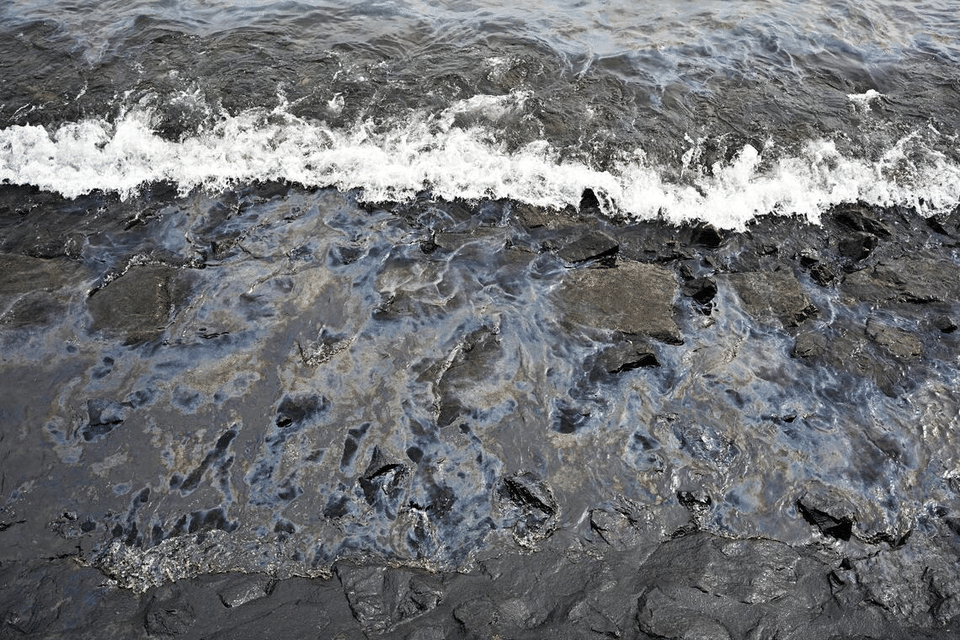 Singapore’s coastal microbial community adapted in response to the 2024 marine oil spill, leading to the proliferation of species primed to break down oil.  ST PHOTO: LIM YAOHUI