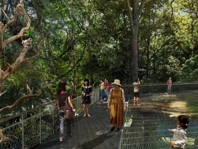 Image 5: At Rainforest Wild Asia, visitors embark on a multi-layered rainforest experience, from the vibrant canopy above to the mysterious cavern below. Image is for illustrative purposes only and may not represent the final product. Photo credit: Mandai Wildlife Group