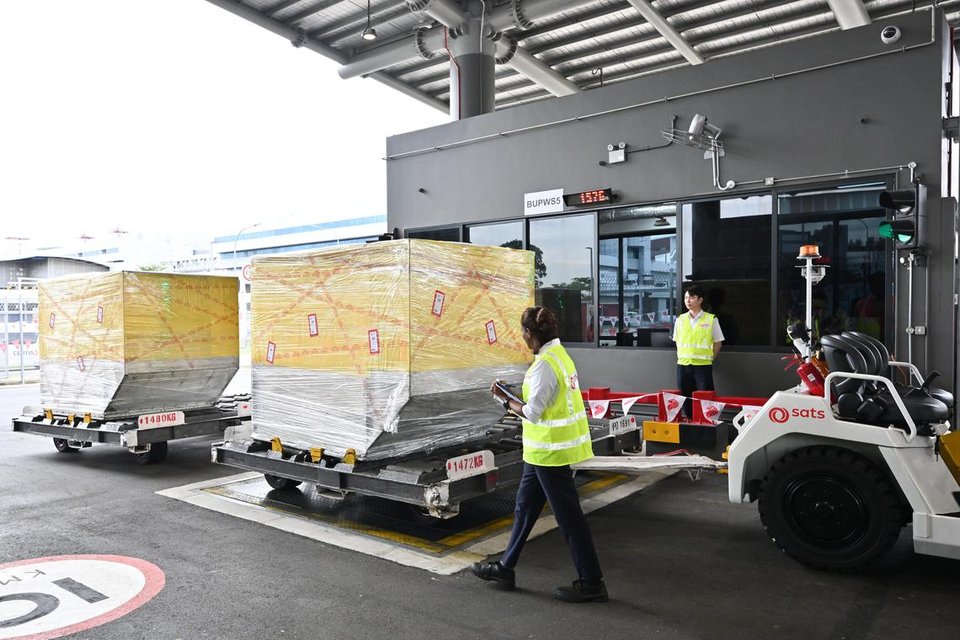 The new centre boasts six cargo lanes and six weighing stations, where freight forwarders can drive their tractors and cargo dollies in to deposit their cargoes after getting them processed.  ST PHOTO: LIM YAOHUI