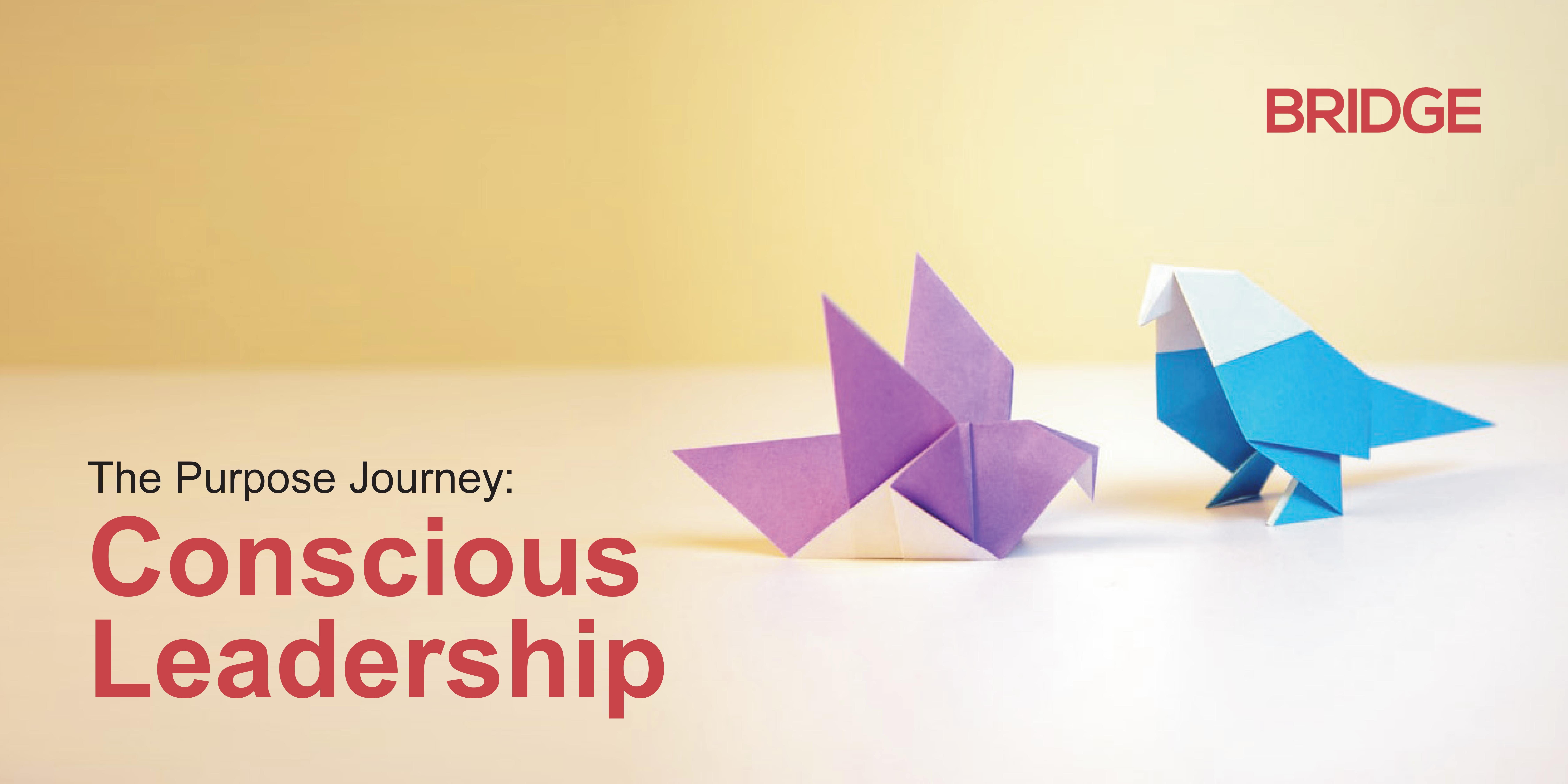 The Purpose Journey: Conscious Leadership
