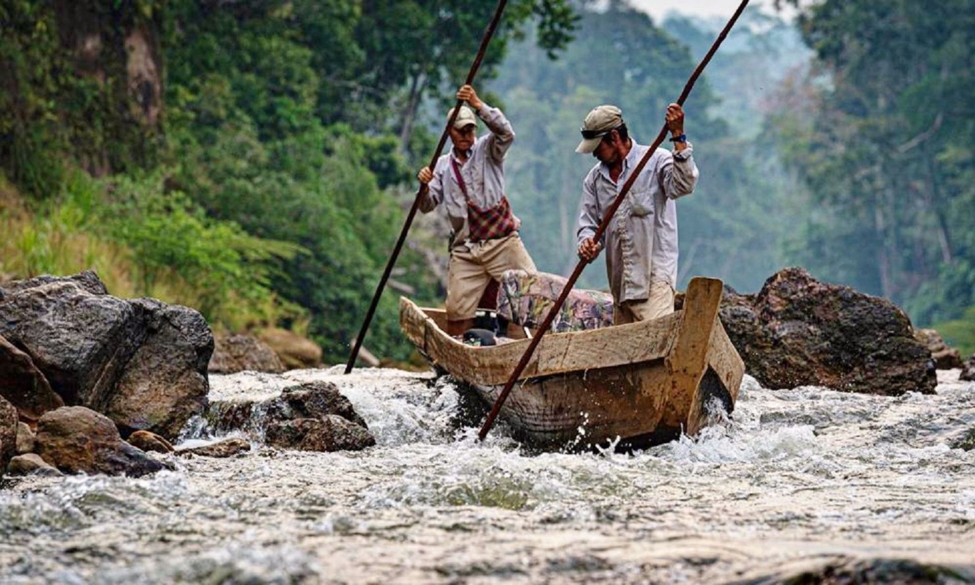 The prevalence of dementia in the Tsimane people of Boliva is amongst the lowest in the world and up until 2010 vegetable seed oils were not in their diets. (Gatz et al. 2023)