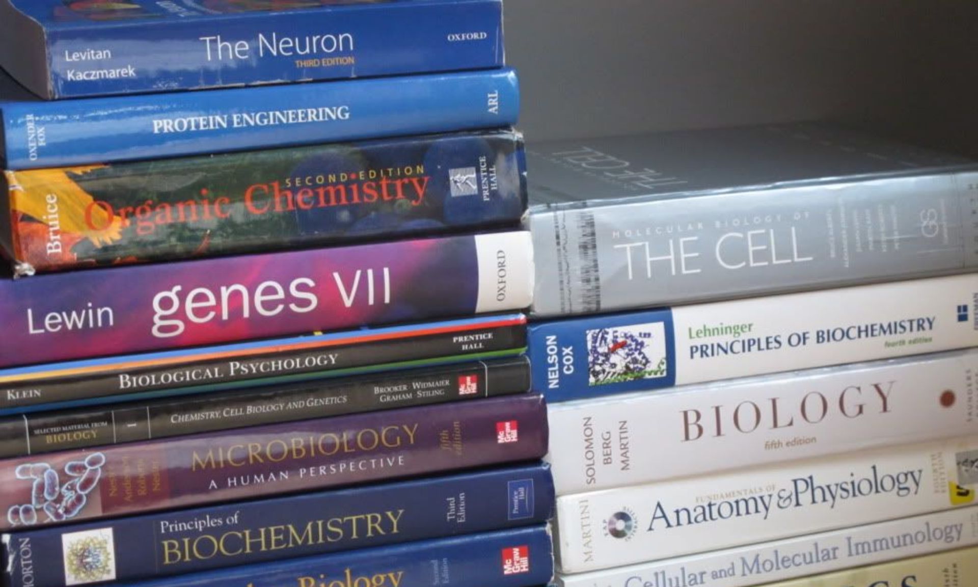 The relationship between omega 6 fats and poor brain health is there, in plain English for anyone to read and, apparently, has been in the medical textbooks for the last 20 to 30 years.