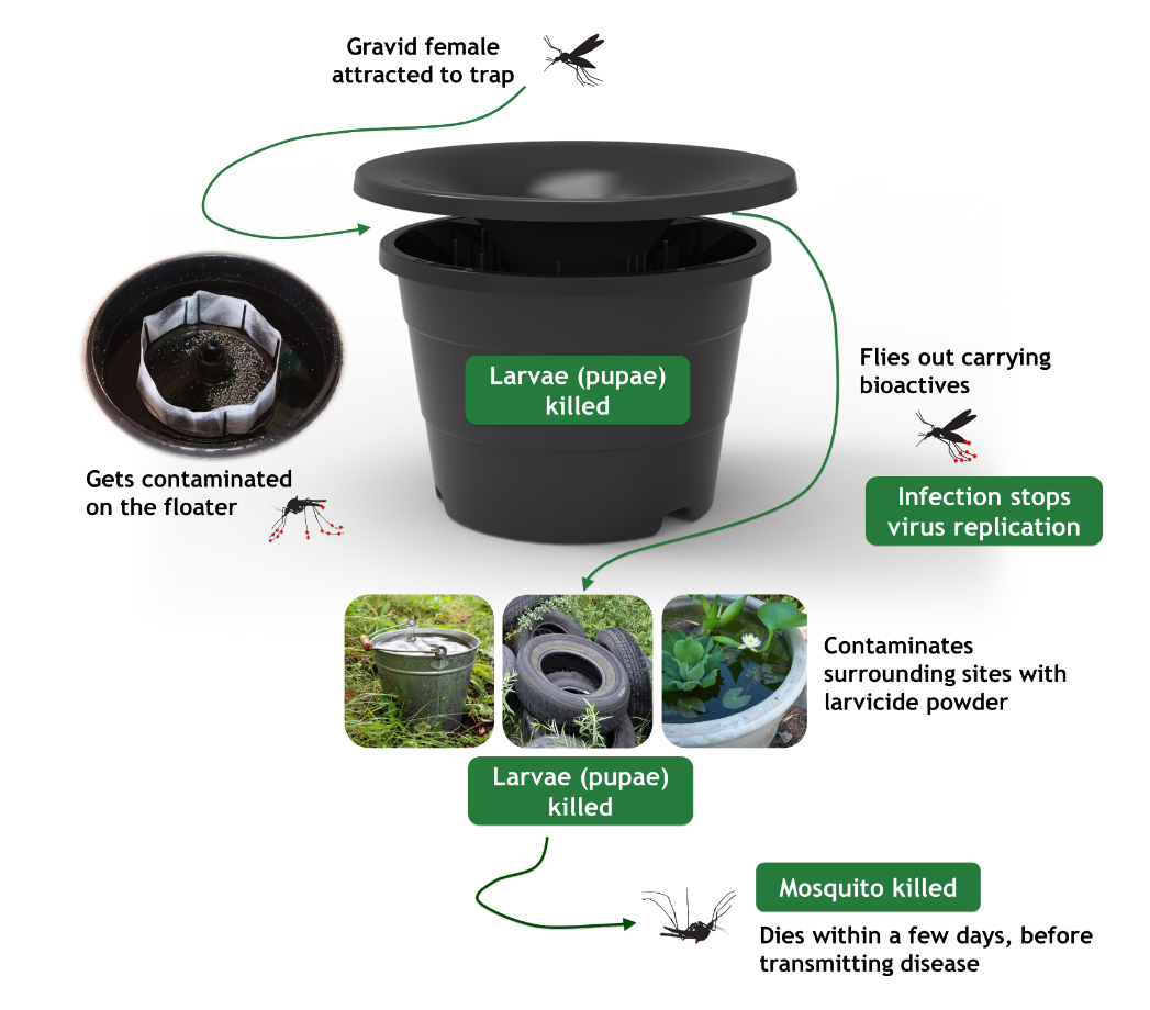 image-20201210130526-1