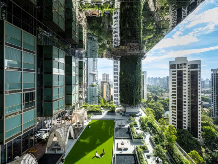 Pan Pac Orchard