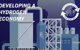 Developing a Hydrogen Economy