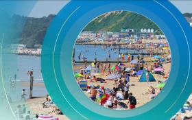 Google launches new tools to help one billion people make 'greener choices' by 2022