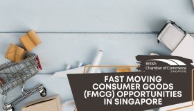 Fast Moving Consumer Goods (FMCG) - Opportunities in Singapore