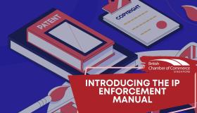 Introducing the IP Enforcement Manual